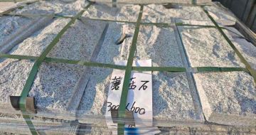 吉安芝麻白蘑菇石，自然面